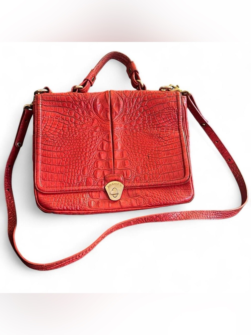 Brahmin Amata, from the Melbourne collection